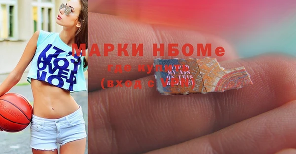 прущий лед Алзамай