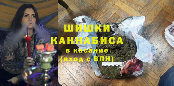 прущий лед Алзамай