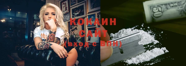 прущий лед Алзамай