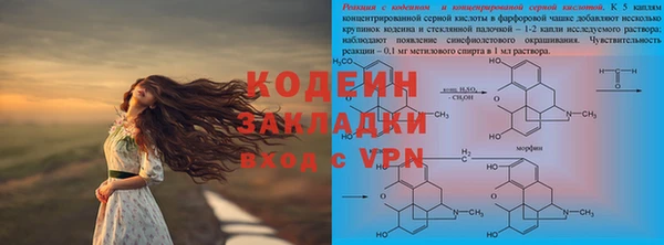 индика Алексин