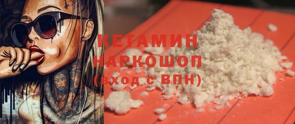индика Алексин