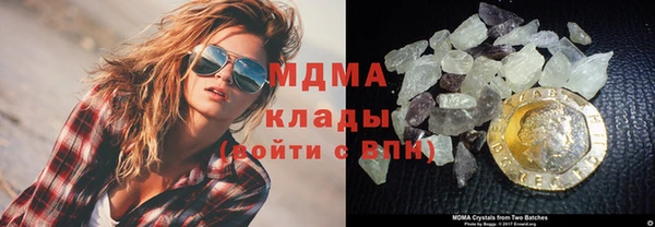 индика Алексин