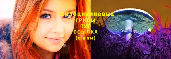 прущий лед Алзамай