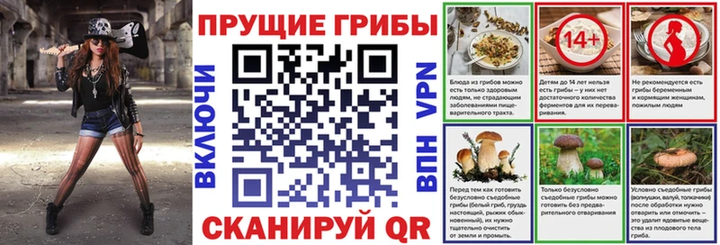 купить  сайты  Североуральск  Псилоцибиновые грибы MAGIC MUSHROOMS 